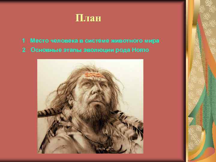План 1 Место человека в системе животного мира 2 Основные этапы эволюции рода Homo
