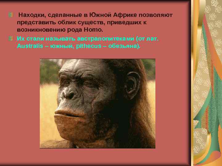  Находки, сделанные в Южной Африке позволяют представить облик существ, приведших к возникновению рода