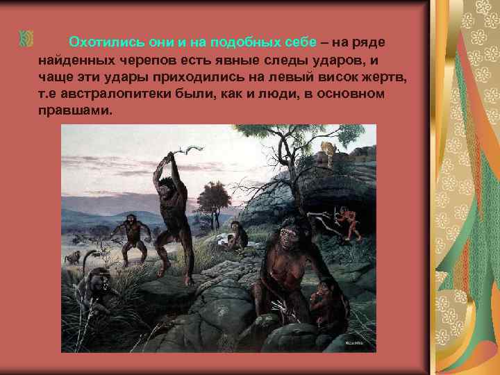 Охотились они и на подобных себе – на ряде найденных черепов есть явные следы