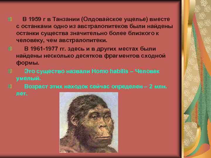  В 1959 г в Танзании (Олдовайское ущелье) вместе с останками одно из австралопитеков