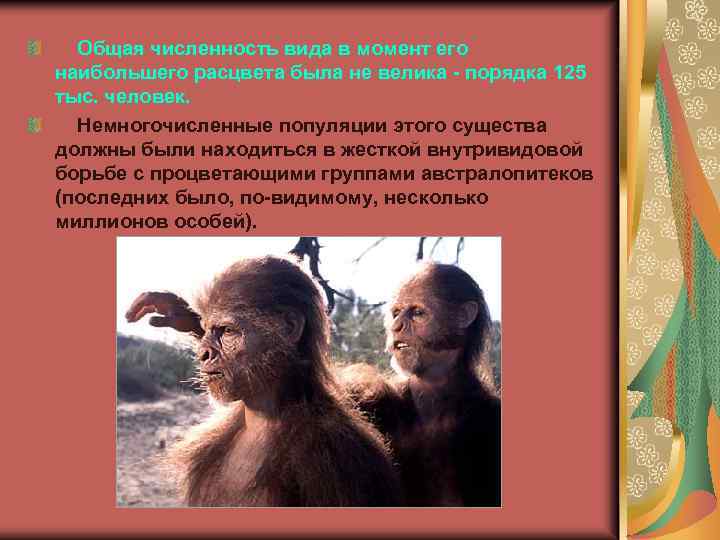  Общая численность вида в момент его наибольшего расцвета была не велика - порядка