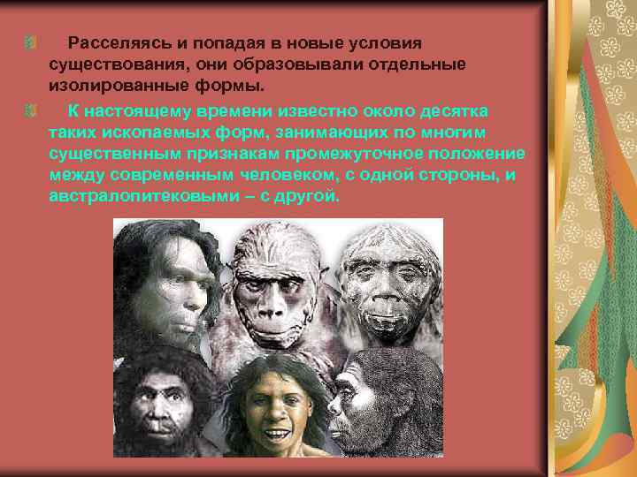  Расселяясь и попадая в новые условия существования, они образовывали отдельные изолированные формы. К