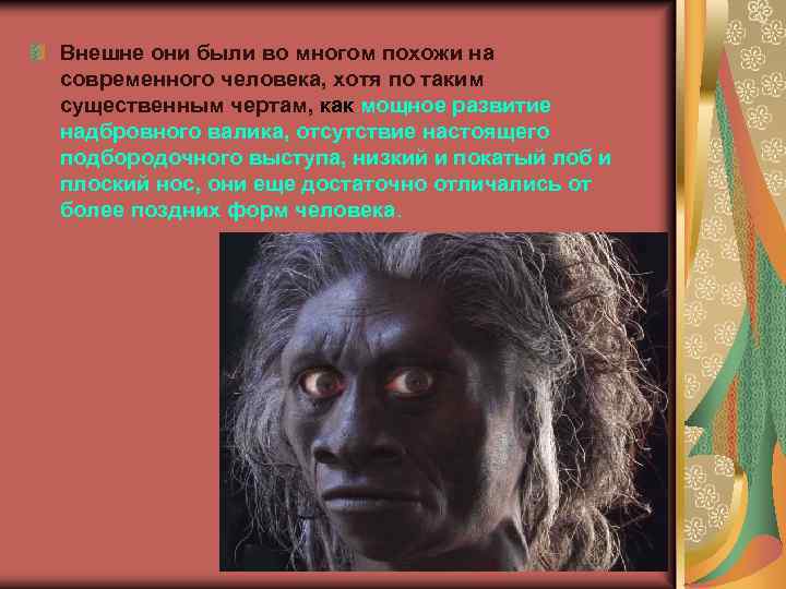 Внешне они были во многом похожи на современного человека, хотя по таким существенным чертам,