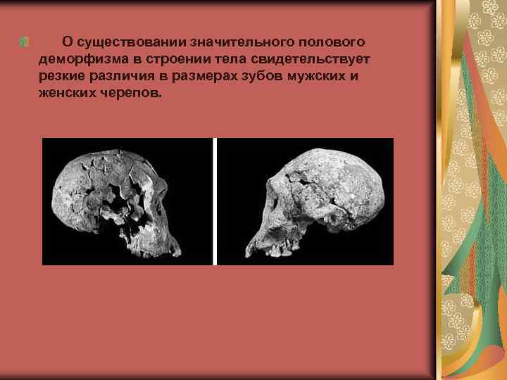  О существовании значительного полового деморфизма в строении тела свидетельствует резкие различия в размерах