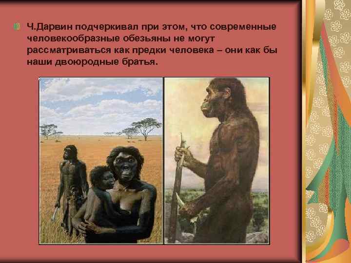 Ч. Дарвин подчеркивал при этом, что современные человекообразные обезьяны не могут рассматриваться как предки