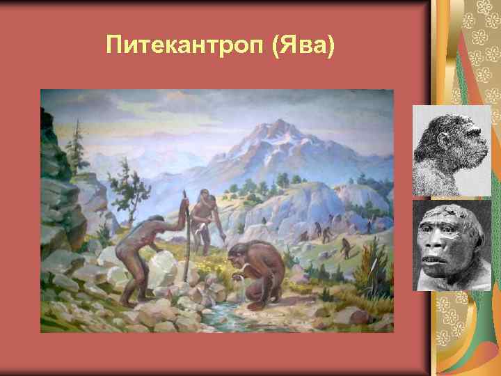  Питекантроп (Ява) 