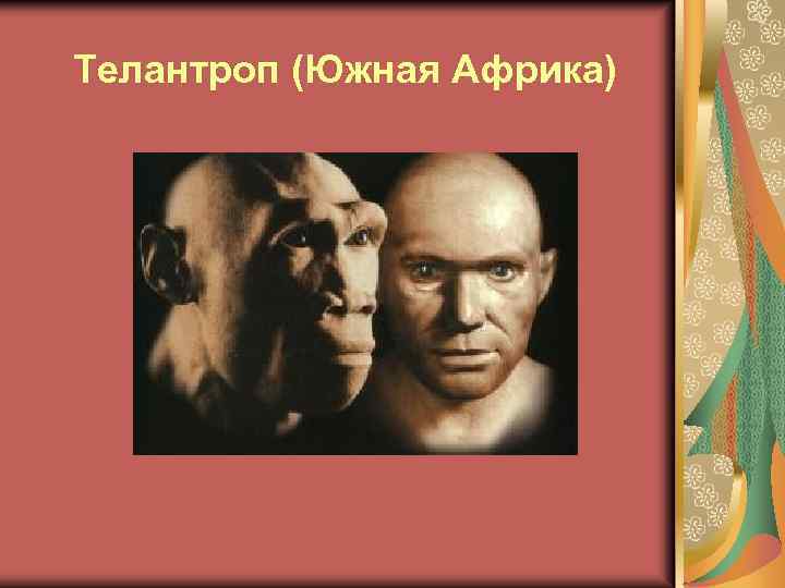  Телантроп (Южная Африка) 