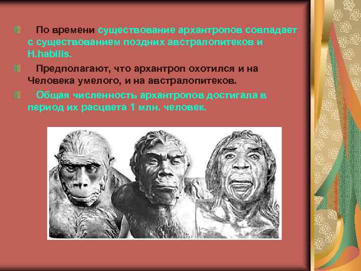  По времени существование архантропов совпадает с существованием поздних австралопитеков и H. habilis. Предполагают,