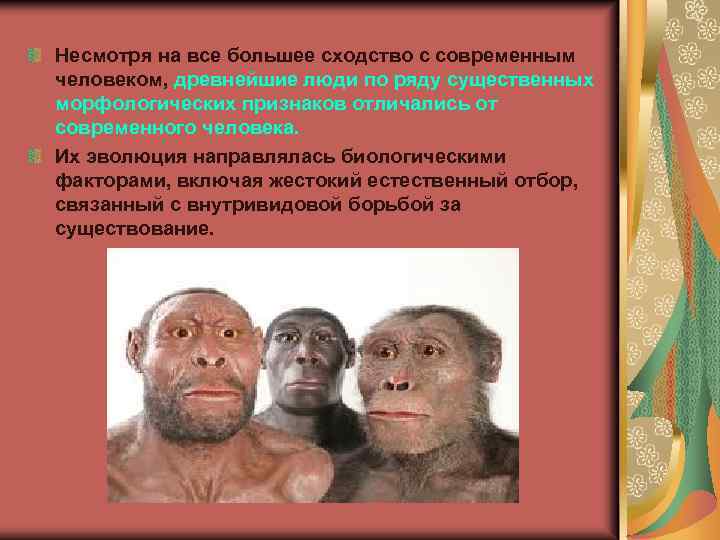 Несмотря на все большее сходство с современным человеком, древнейшие люди по ряду существенных морфологических