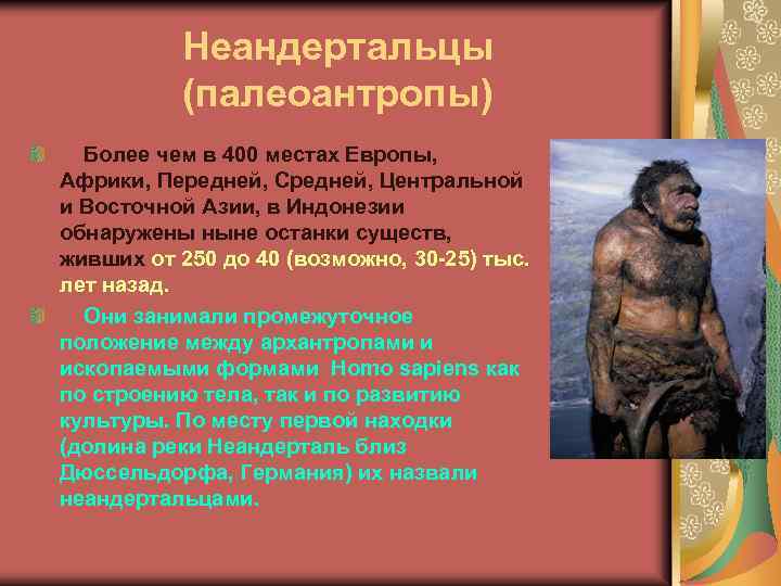 Неандертальцы (палеоантропы) Более чем в 400 местах Европы, Африки, Передней, Средней, Центральной и Восточной