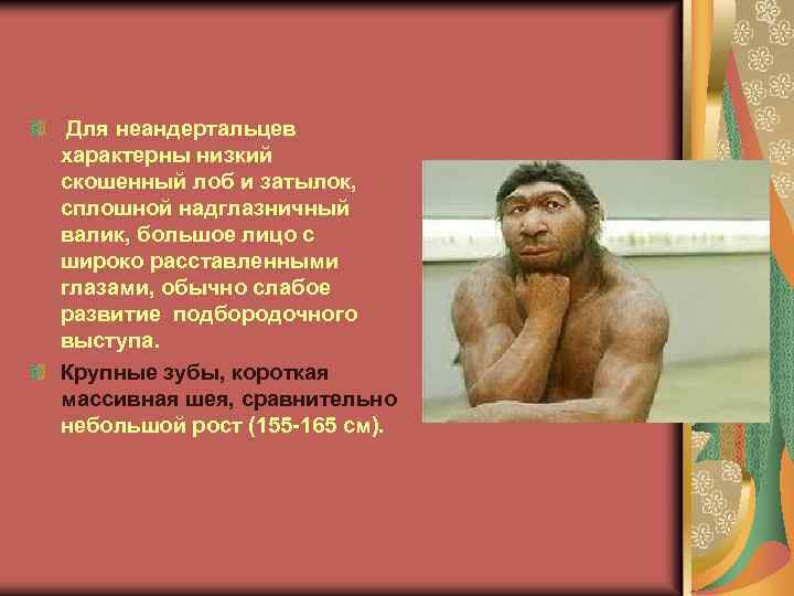  Для неандертальцев характерны низкий скошенный лоб и затылок, сплошной надглазничный валик, большое лицо