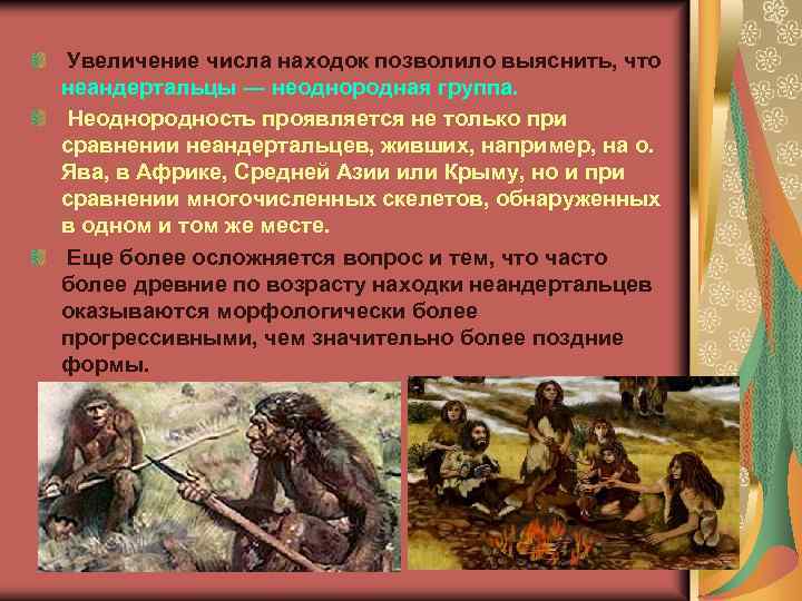  Увеличение числа находок позволило выяснить, что неандертальцы — неоднородная группа. Неоднородность проявляется не
