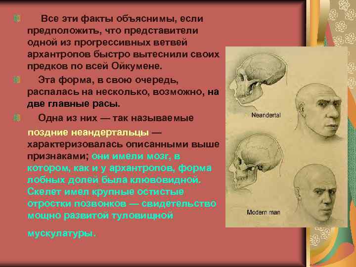  Все эти факты объяснимы, если предположить, что представители одной из прогрессивных ветвей архантропов