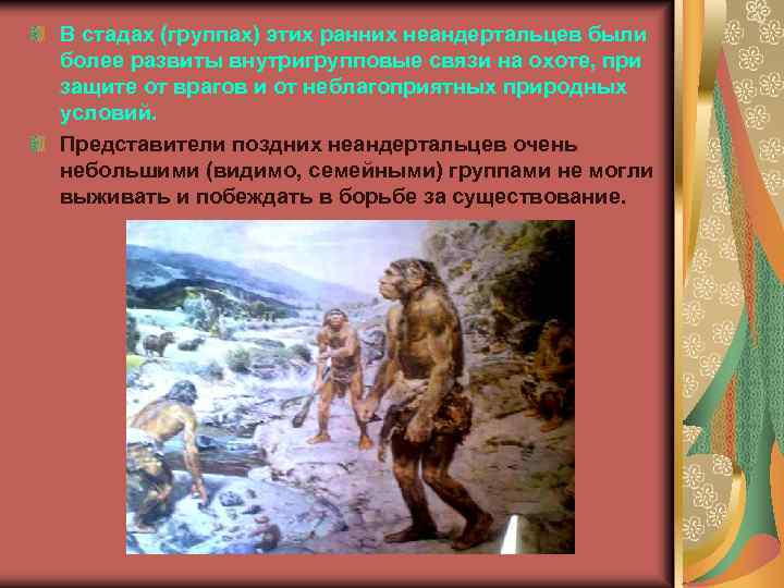 В стадах (группах) этих ранних неандертальцев были более развиты внутригрупповые связи на охоте, при