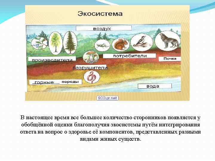 В настоящее время все большее количество сторонников появляется у обобщённой оценки благополучия экосистемы путём