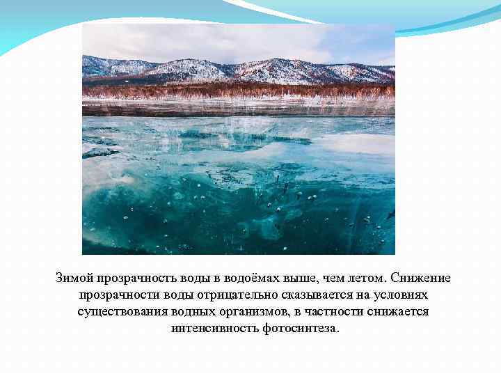 Зимой прозрачность воды в водоёмах выше, чем летом. Снижение прозрачности воды отрицательно сказывается на