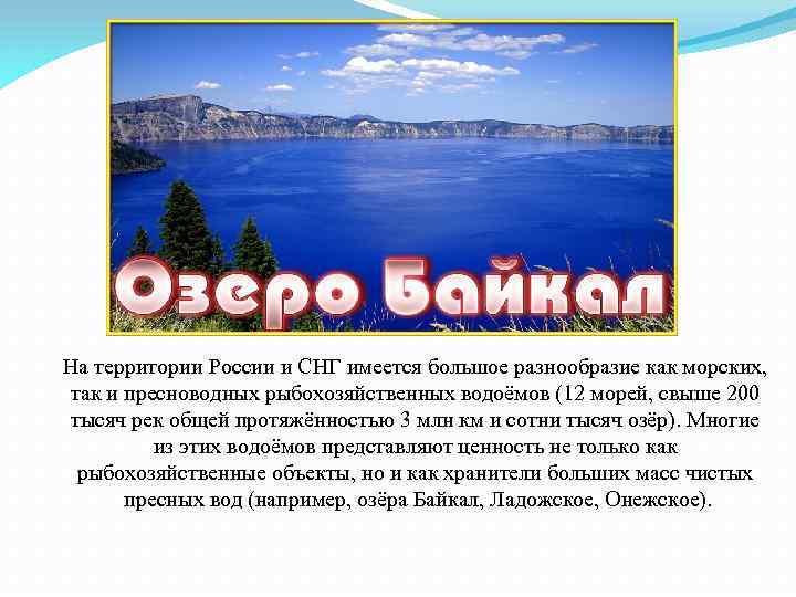 На территории России и СНГ имеется большое разнообразие как морских, так и пресноводных рыбохозяйственных