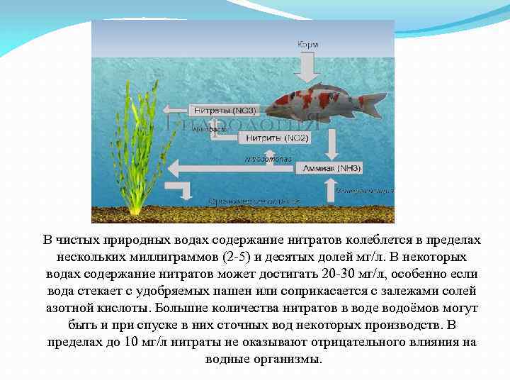 В чистых природных водах содержание нитратов колеблется в пределах нескольких миллиграммов (2 5) и