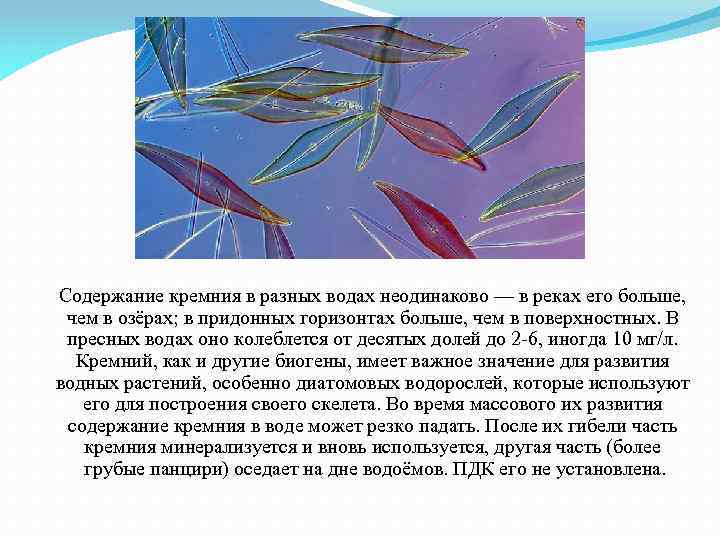 Содержание кремния в разных водах неодинаково — в реках его больше, чем в озёрах;