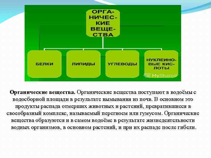 Органические вещества поступают в водоёмы с водосборной площади в результате вымывания из почв. В