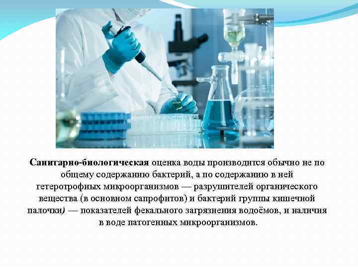 Санитарно-биологическая оценка воды производится обычно не по общему содержанию бактерий, а по содержанию в