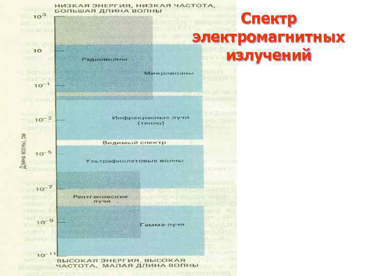 Спектр электромагнитных излучений 