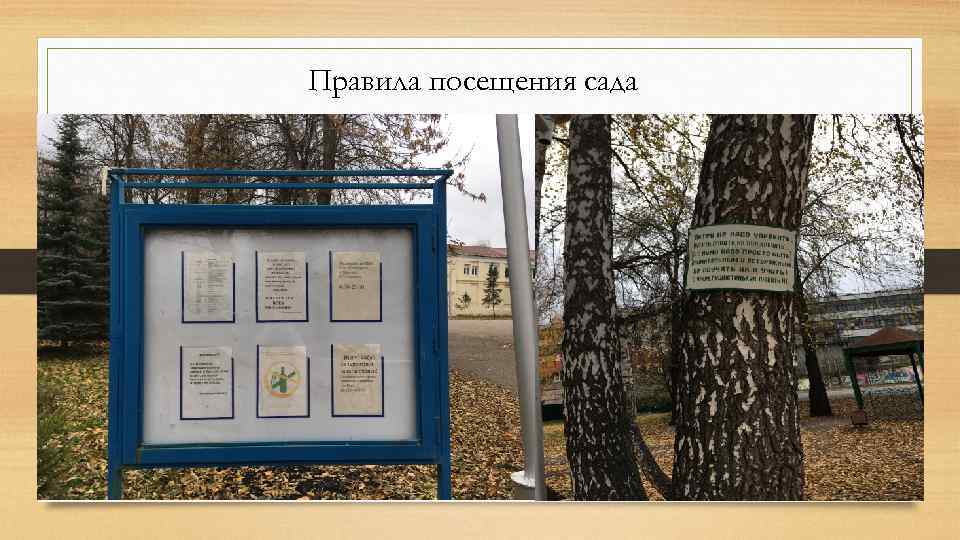 Правила посещения сада 