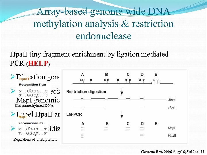 Array-based genome wide DNA methylation analysis & restriction endonuclease Hpa. II tiny fragment enrichment