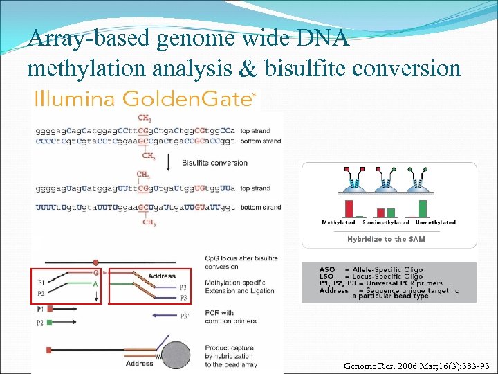 Array-based genome wide DNA methylation analysis & bisulfite conversion Genome Res. 2006 Mar; 16(3):
