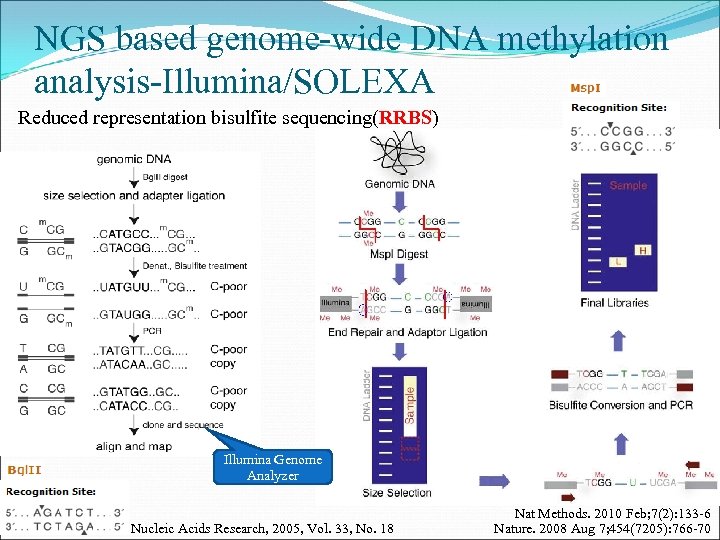 NGS based genome-wide DNA methylation analysis-Illumina/SOLEXA Reduced representation bisulfite sequencing(RRBS) Illumina Genome Analyzer Nucleic