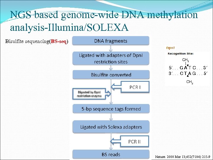 NGS based genome-wide DNA methylation analysis-Illumina/SOLEXA Bisulfite sequencing(BS-seq) Nature. 2008 Mar 13; 452(7184): 215