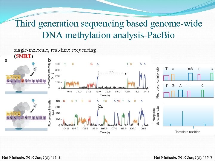 Third generation sequencing based genome-wide DNA methylation analysis-Pac. Bio single-molecule, real-time sequencing (SMRT) Nat