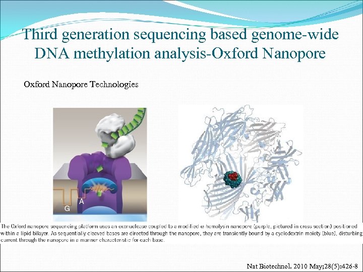 Third generation sequencing based genome-wide DNA methylation analysis-Oxford Nanopore Technologies Nat Biotechnol. 2010 May;