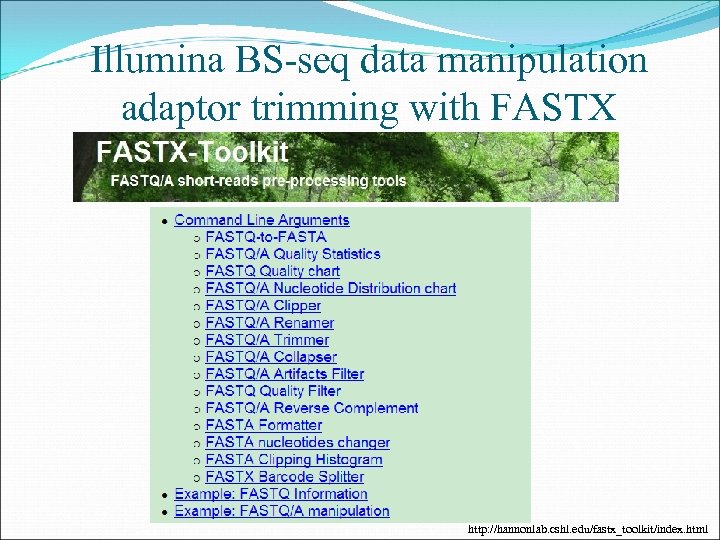 Illumina BS-seq data manipulation adaptor trimming with FASTX http: //hannonlab. cshl. edu/fastx_toolkit/index. html 