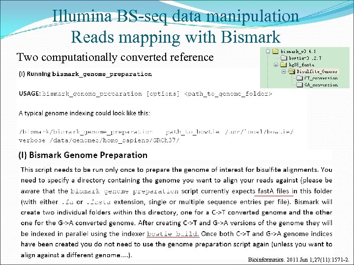 Illumina BS-seq data manipulation Reads mapping with Bismark Two computationally converted reference Bioinformatics. 2011