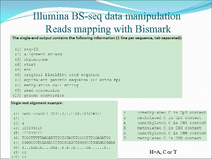 Illumina BS-seq data manipulation Reads mapping with Bismark H=A, C or T 