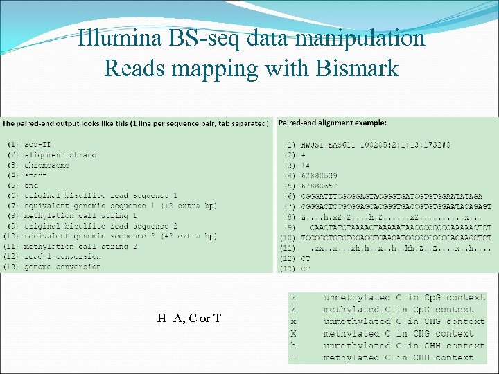 Illumina BS-seq data manipulation Reads mapping with Bismark H=A, C or T 
