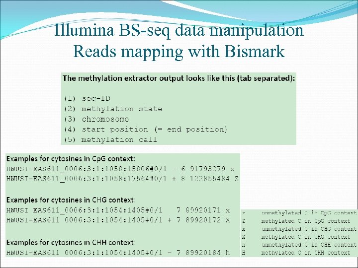 Illumina BS-seq data manipulation Reads mapping with Bismark 