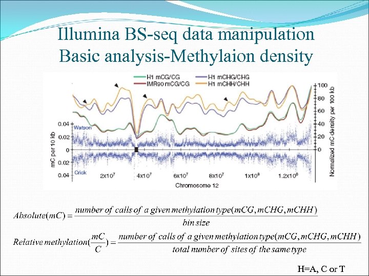 Illumina BS-seq data manipulation Basic analysis-Methylaion density H=A, C or T 
