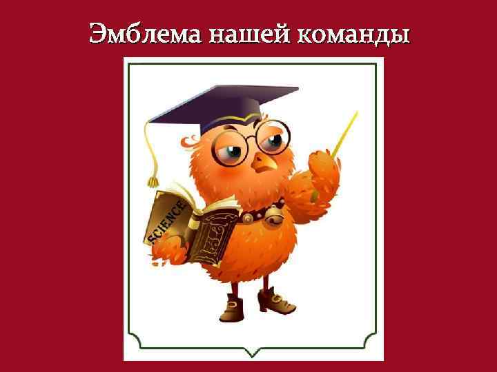 Эмблема нашей команды 