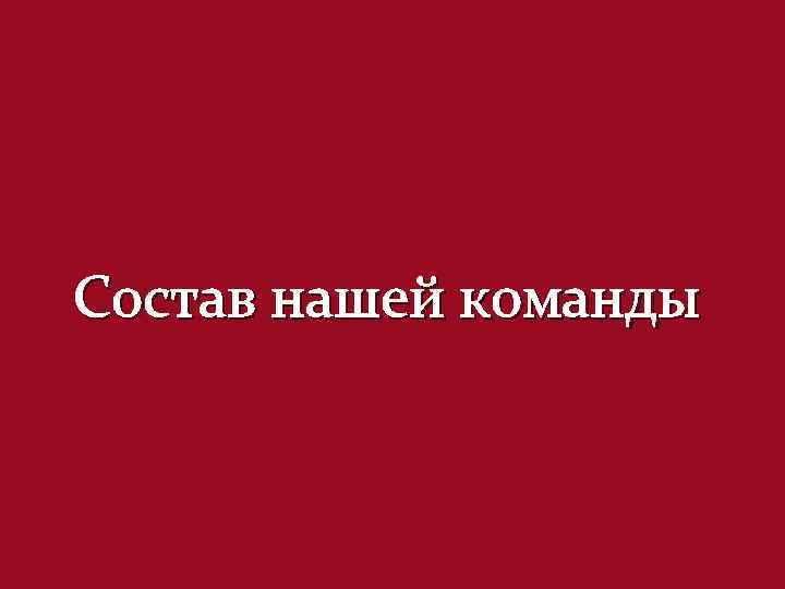Состав нашей команды 