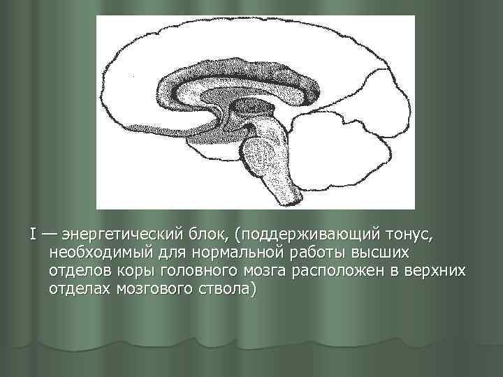 I — энергетический блок, (поддерживающий тонус, необходимый для нормальной работы высших отделов коры головного