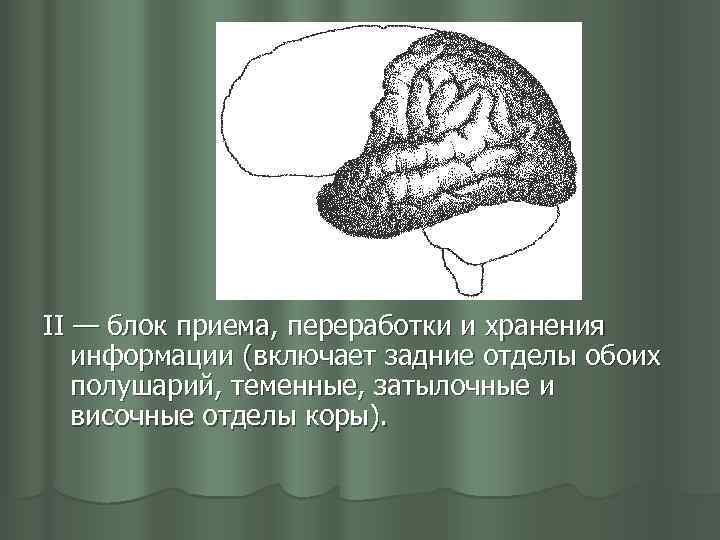 II — блок приема, переработки и хранения информации (включает задние отделы обоих полушарий, теменные,