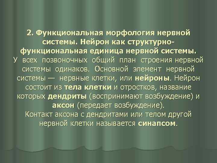 2. Функциональная морфология нервной системы. Нейрон как структурнофункциональная единица нервной системы. У всех позвоночных