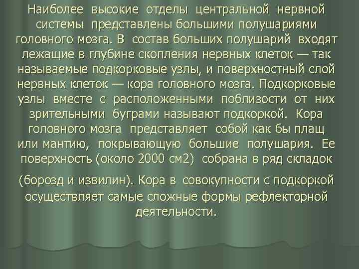 Наиболее высокие отделы центральной нервной системы представлены большими полушариями головного мозга. В состав больших