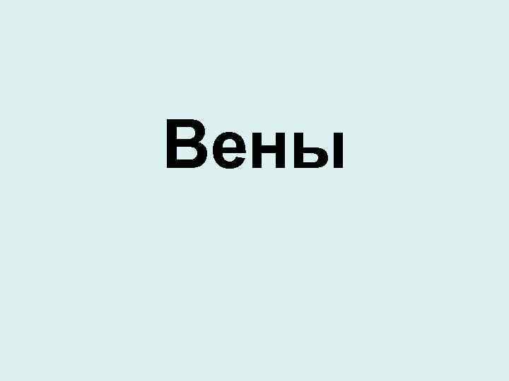Вены 