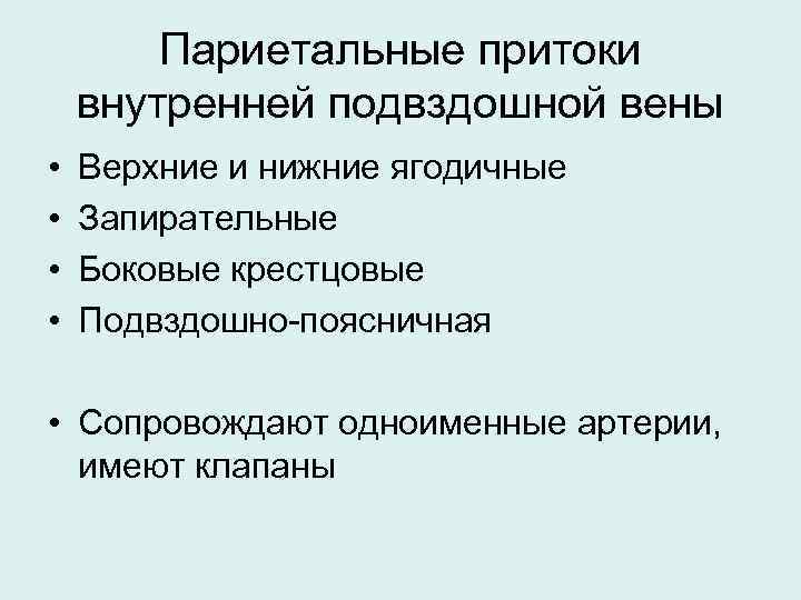 Париетальные притоки внутренней подвздошной вены • • Верхние и нижние ягодичные Запирательные Боковые крестцовые