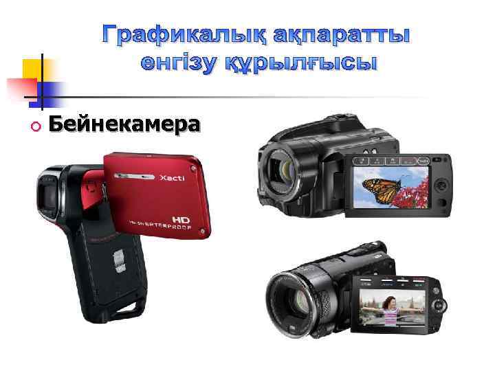  Бейнекамера 