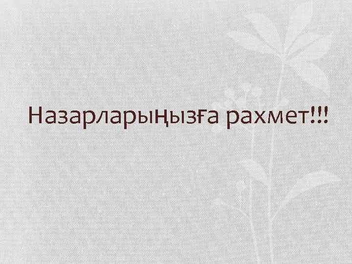 Назарларыңызға рахмет!!! 