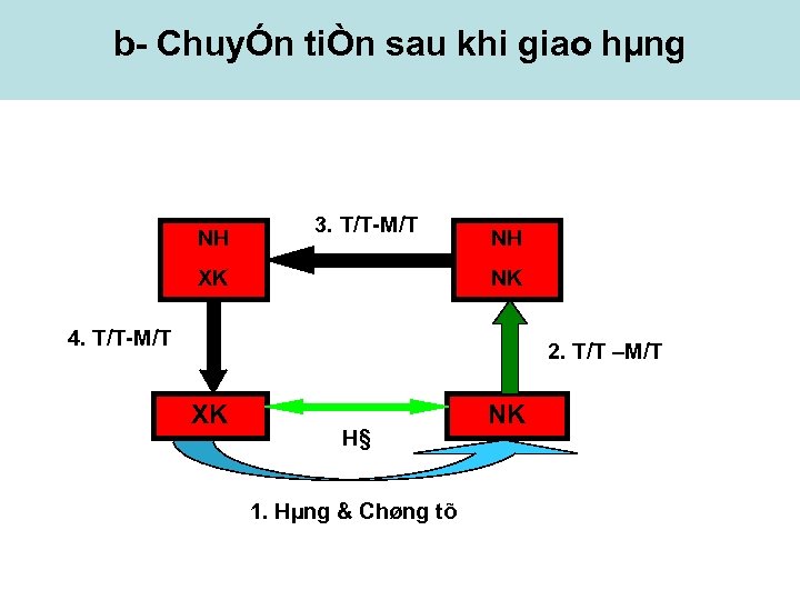 b ChuyÓn tiÒn sau khi giao hµng NH 3. T/T M/T XK NH NK